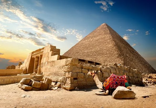 Tour Cairo & Alexandria by bus 